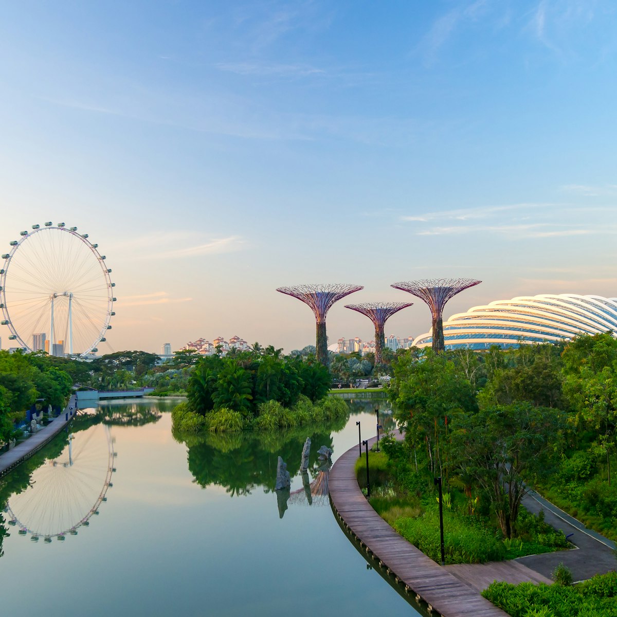 Supertree Grove in the Garden by the Bay in Singapore