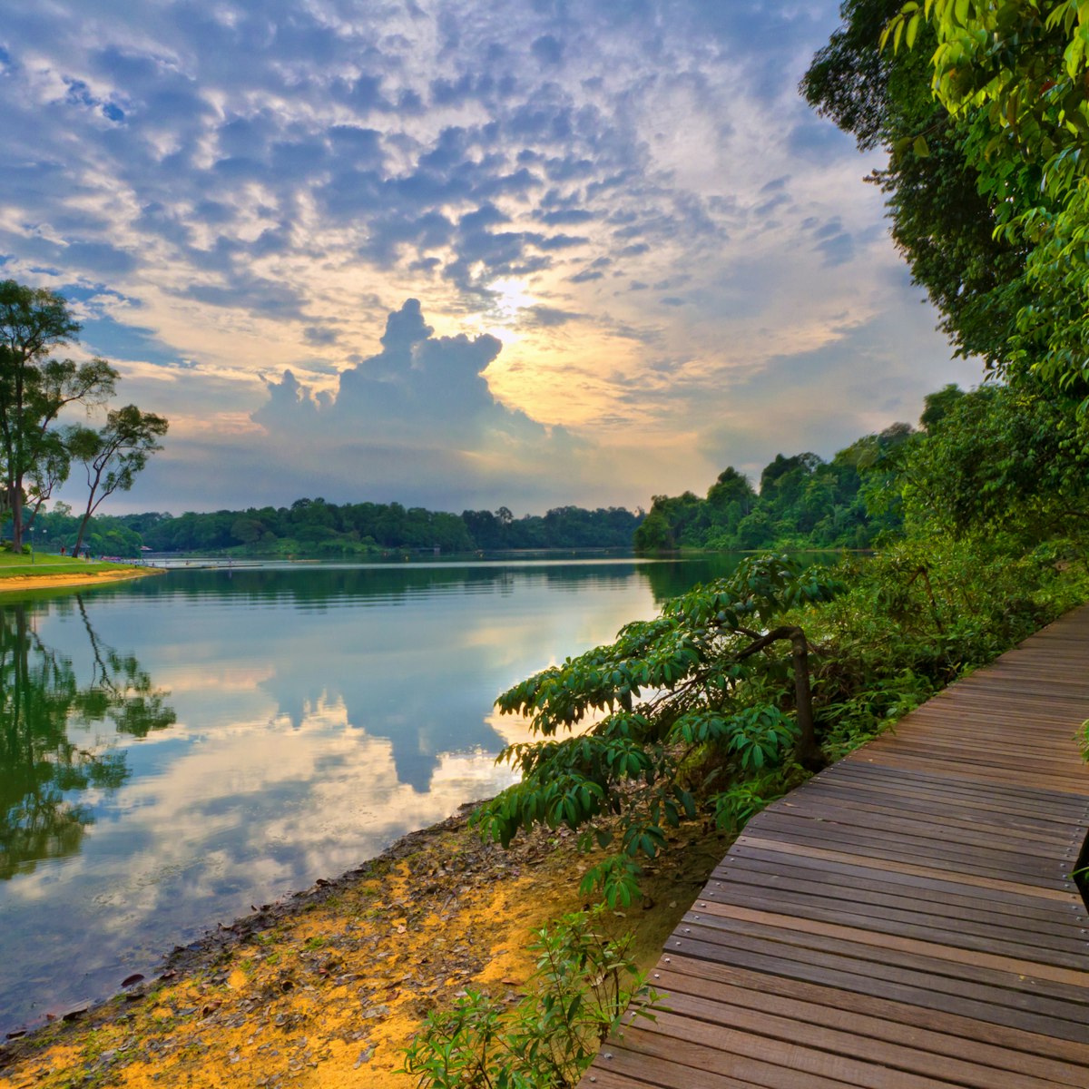 MacRitchie Reservoir Park, Singapore